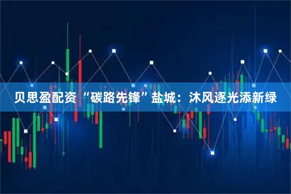 贝思盈配资 “碳路先锋”盐城：沐风逐光添新绿