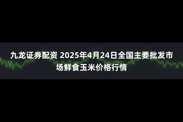 九龙证券配资 2025年4月24日全国主要批发市场鲜食玉米价格行情