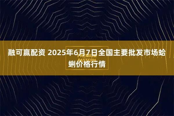 融可赢配资 2025年6月7日全国主要批发市场蛤蜊价格行情